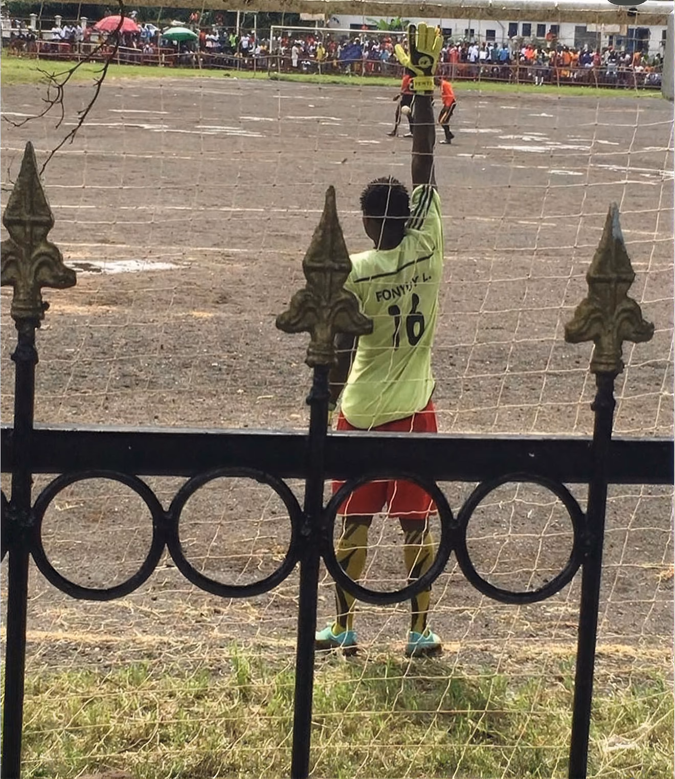 Photograph: Scouting programme executed in Cameroon