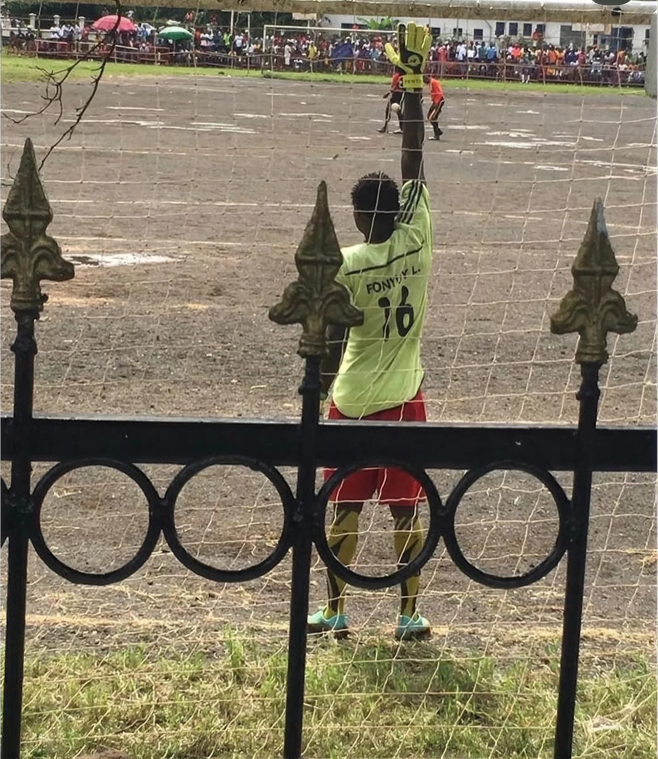 Photograph: Scouting programme executed in Cameroon